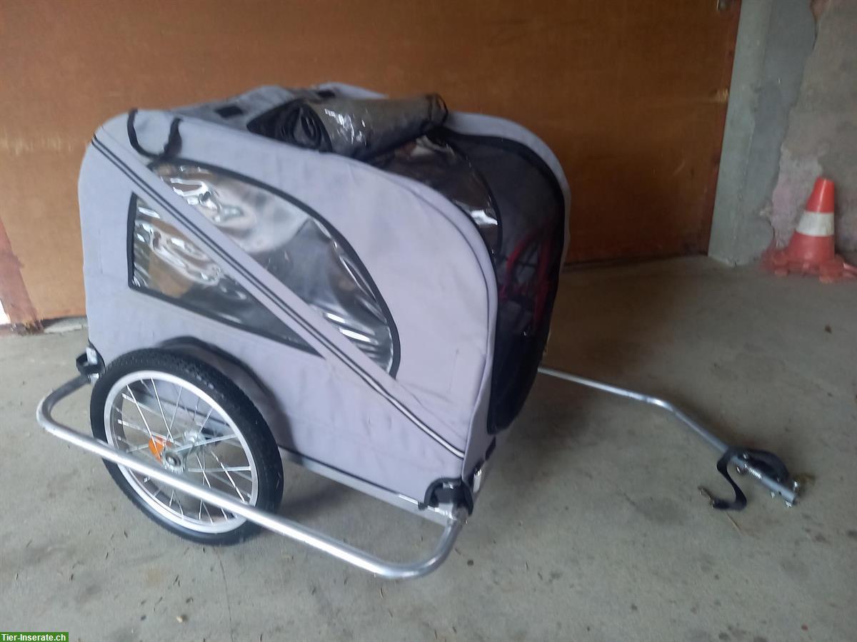 Bild 4: Hundeveloanhänger für mittlere bis mittelgrosse Rassen