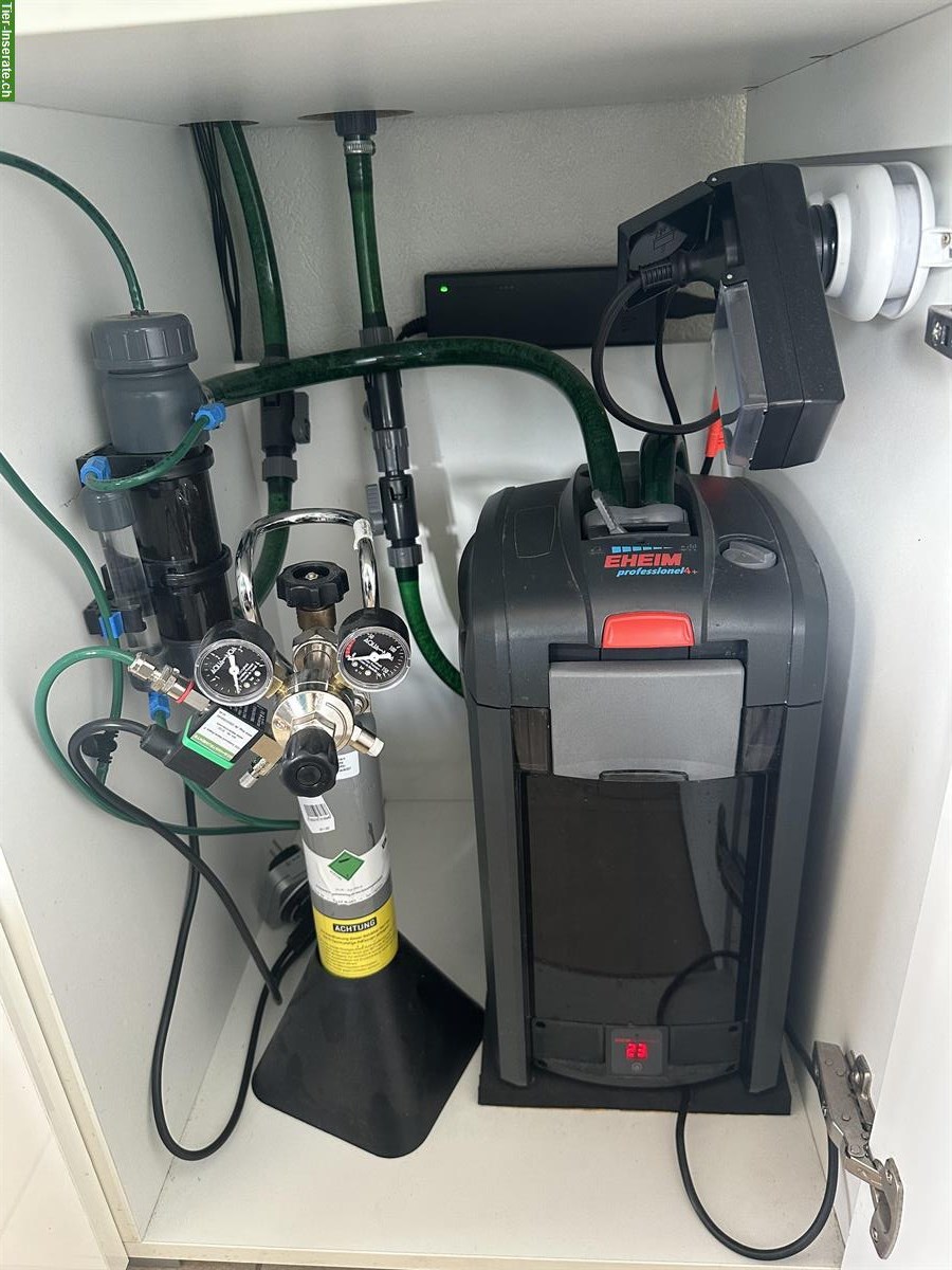 Bild 4: Aquarium EHEIM Incpiria 300 LED + CO₂ + Osmose + Eheim 4+T + 3× LED