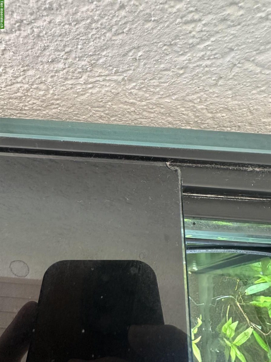 Bild 5: Aquarium EHEIM Incpiria 300 LED + CO₂ + Osmose + Eheim 4+T + 3× LED