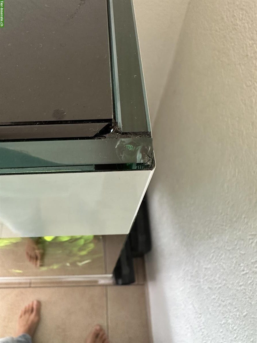 Bild 6: Aquarium EHEIM Incpiria 300 LED + CO₂ + Osmose + Eheim 4+T + 3× LED