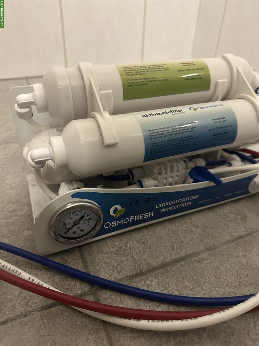 Bild 7: Aquarium EHEIM Incpiria 300 LED + CO₂ + Osmose + Eheim 4+T + 3× LED