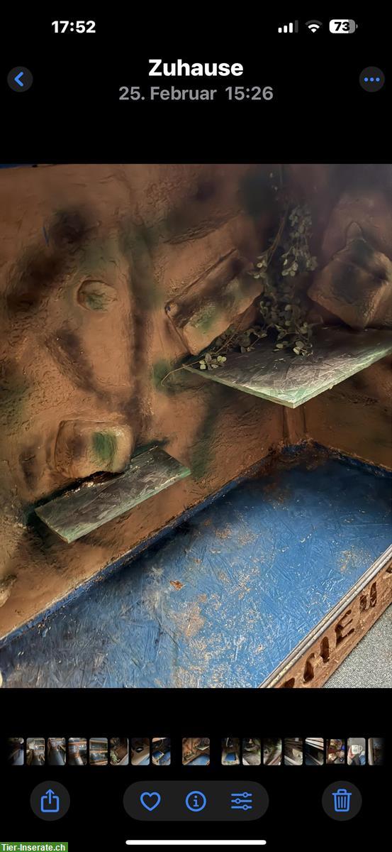 Bild 3: Schönes Terrarium 150x80x100cm zu verkaufen