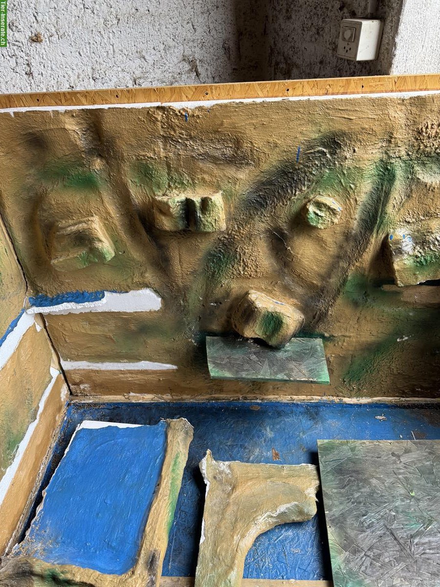 Bild 5: Schönes Terrarium 150x80x100cm neuer Preis!