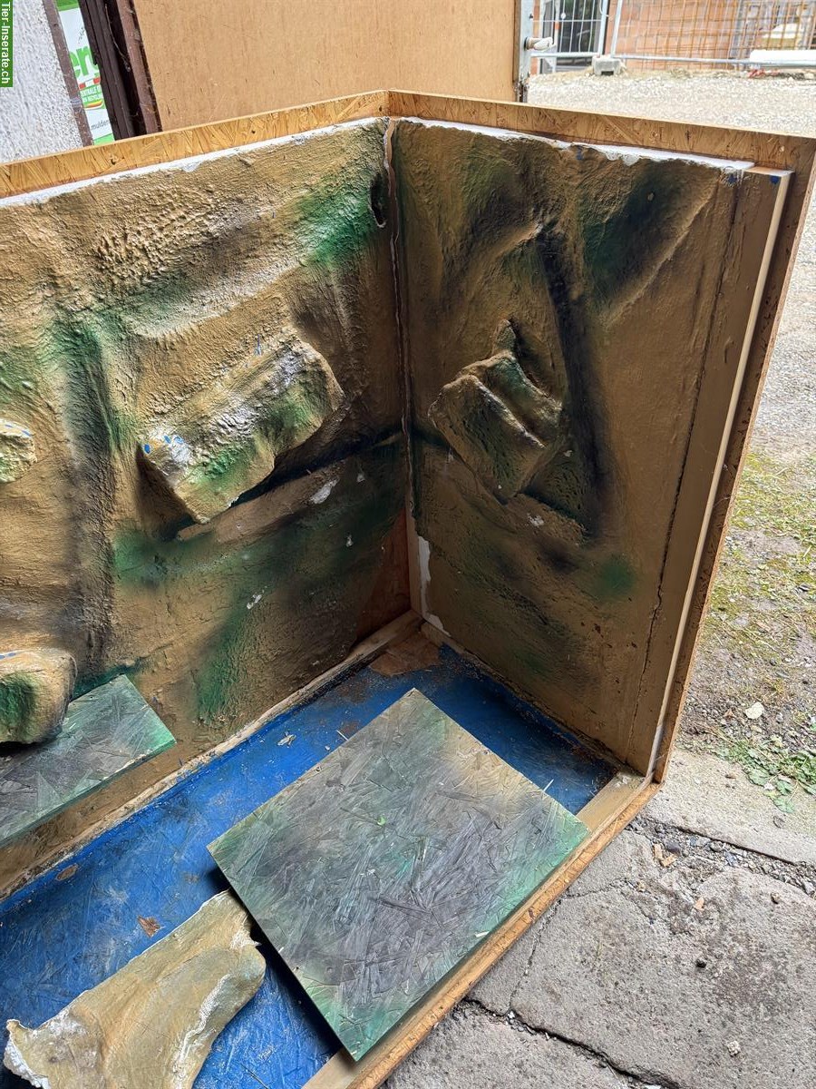 Bild 6: Schönes Terrarium 150x80x100cm neuer Preis!