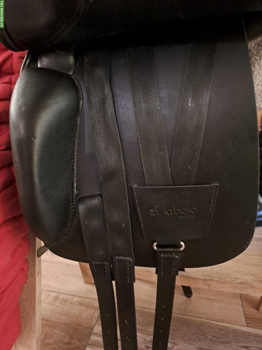 Bild 2: Labelle Dressursattel, schwarz, zu verkaufen