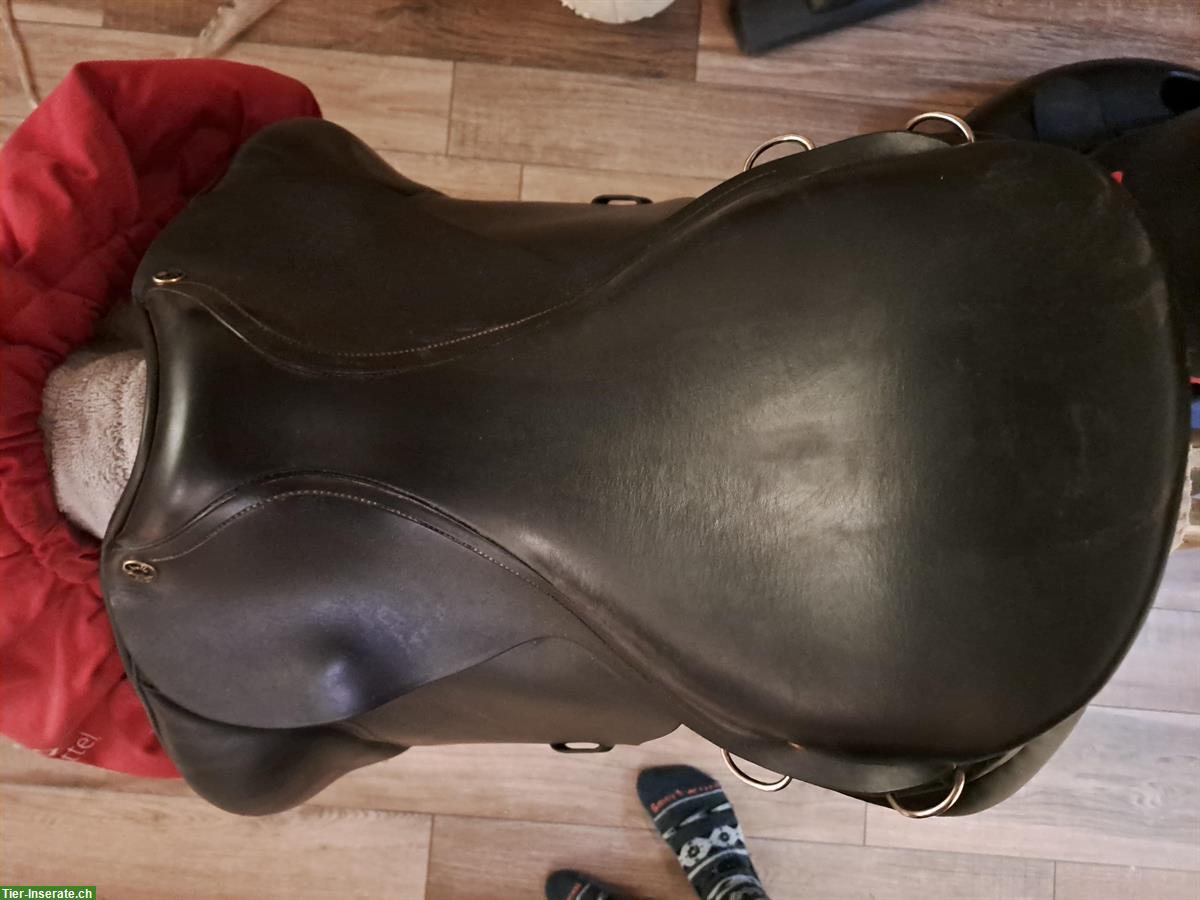 Bild 3: Labelle Dressursattel, schwarz, zu verkaufen