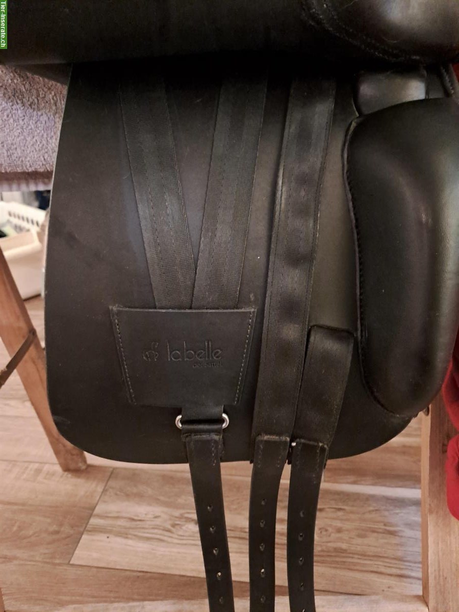 Bild 5: Labelle Dressursattel, schwarz, zu verkaufen