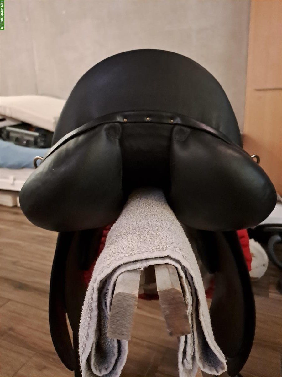 Bild 6: Labelle Dressursattel, schwarz, zu verkaufen