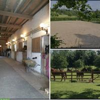 Grosse Auslaufboxe zu vermieten, Uster ZH