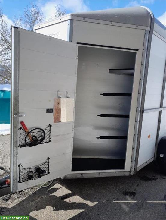 Bild 3: Böckmann Traveller G3 Pferdeanhänger Querverlad