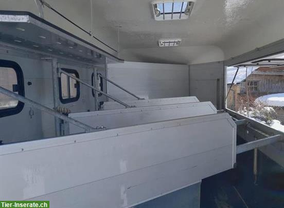 Bild 4: Böckmann Traveller G3 Pferdeanhänger Querverlad