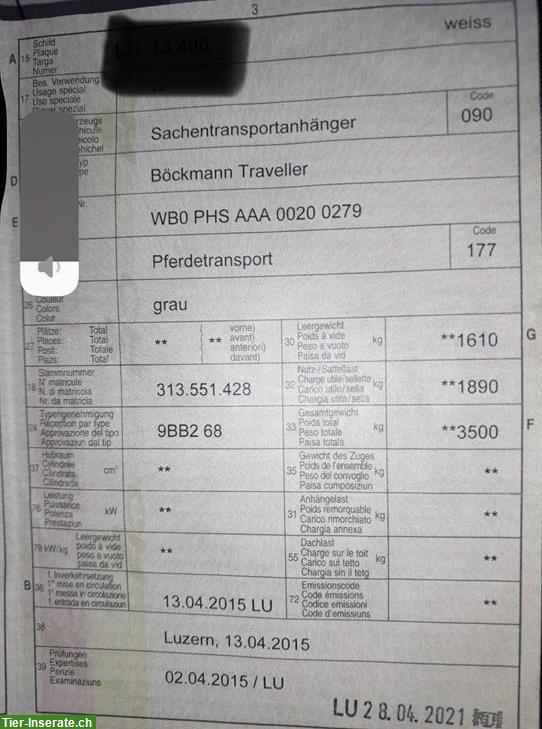 Bild 5: Böckmann Traveller G3 Pferdeanhänger Querverlad