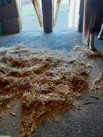 Pferde Stallmatte zu verkaufen