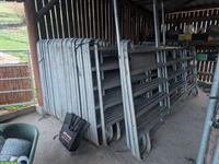 Pferde - Weidepanels von B+M zu verkaufen