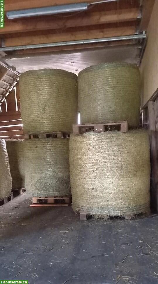 Pferdeheu Rundballen zu verkaufen