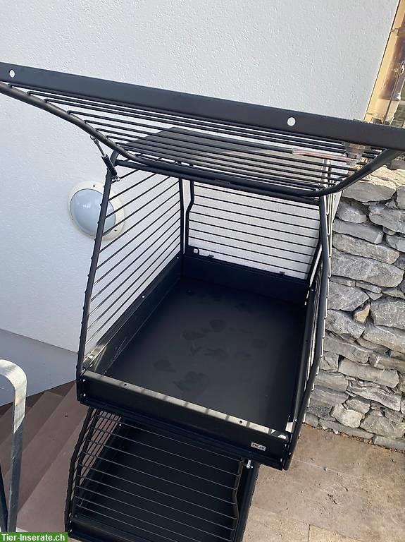 Bild 4: 2 neue Hundetransportboxen, Crash getestet