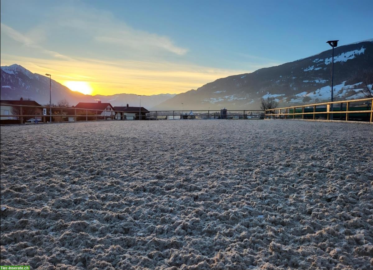 Bild 4: Freie Auslaufboxen im Sarganserland, mit Sandplatz & Roundpen