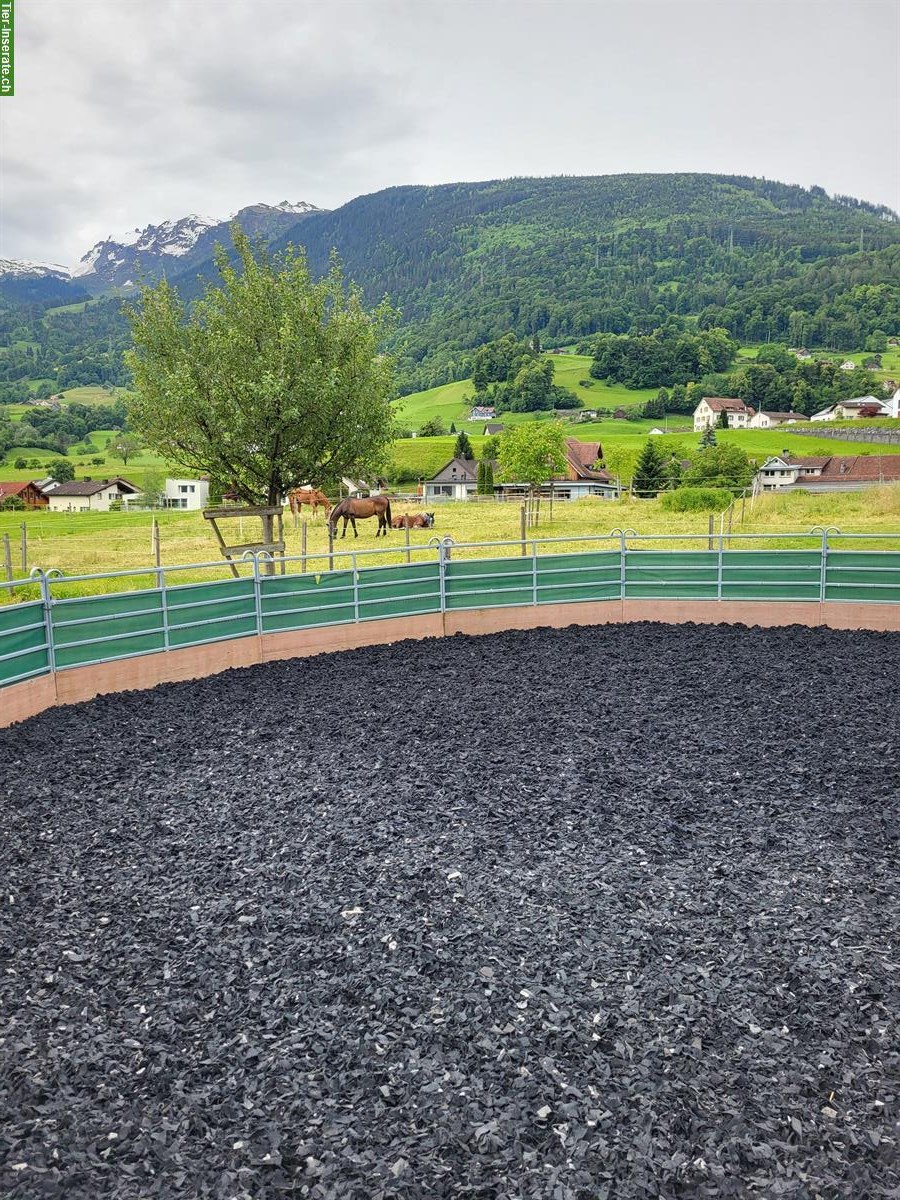 Bild 5: Freie Auslaufboxen im Sarganserland, mit Sandplatz & Roundpen