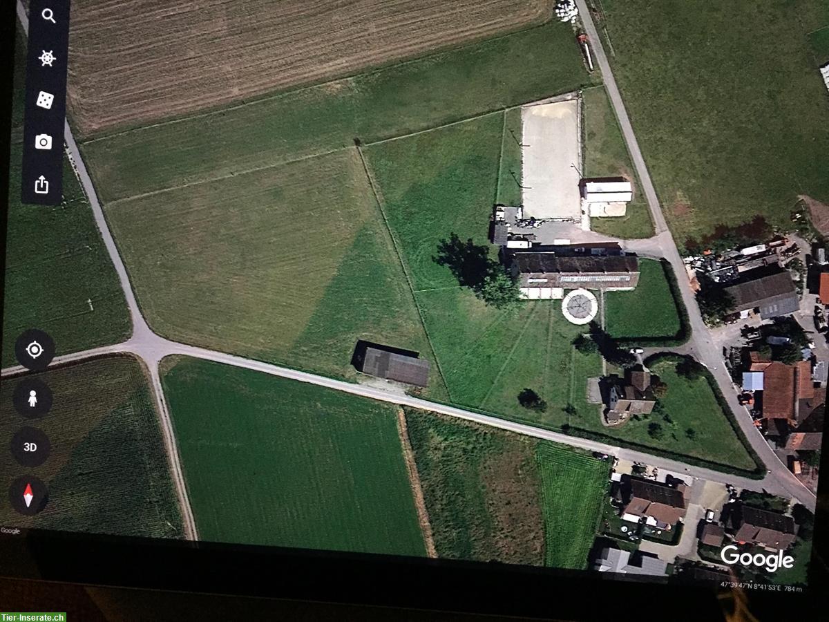 Bild 4: 2 Auslaufboxen oder Offenstall in Schlatt TG für 2-3 Pferde