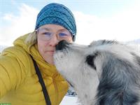 Gemütlicher Pyrenäenberghund Rüde sucht neues Zuhause