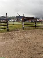 Pferdeboxe in Münsingen BE zu vermieten