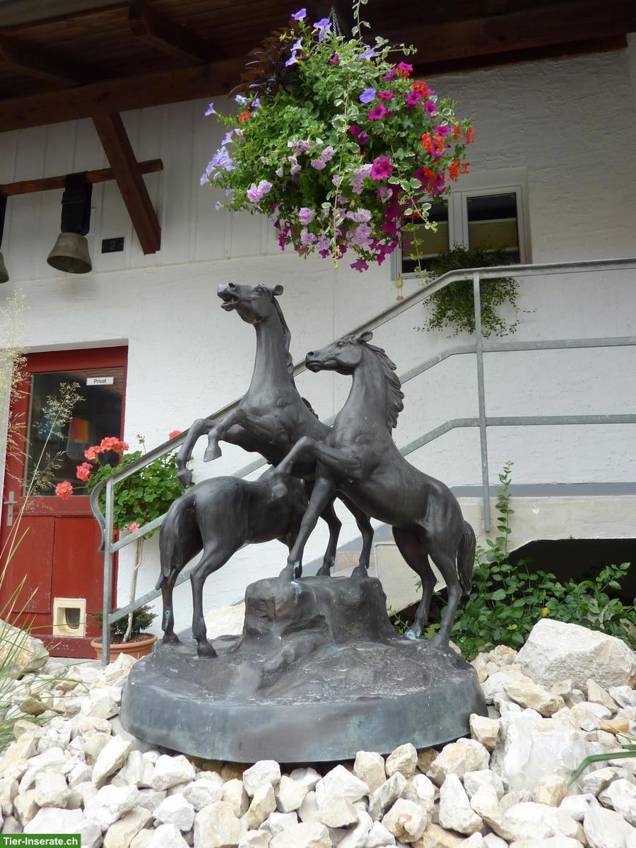 Bild 4: Pferdeboxe in Münsingen BE zu vermieten