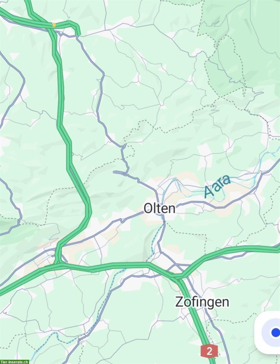 Wohnung/Haus zum mieten gesucht im AG, SO, BL