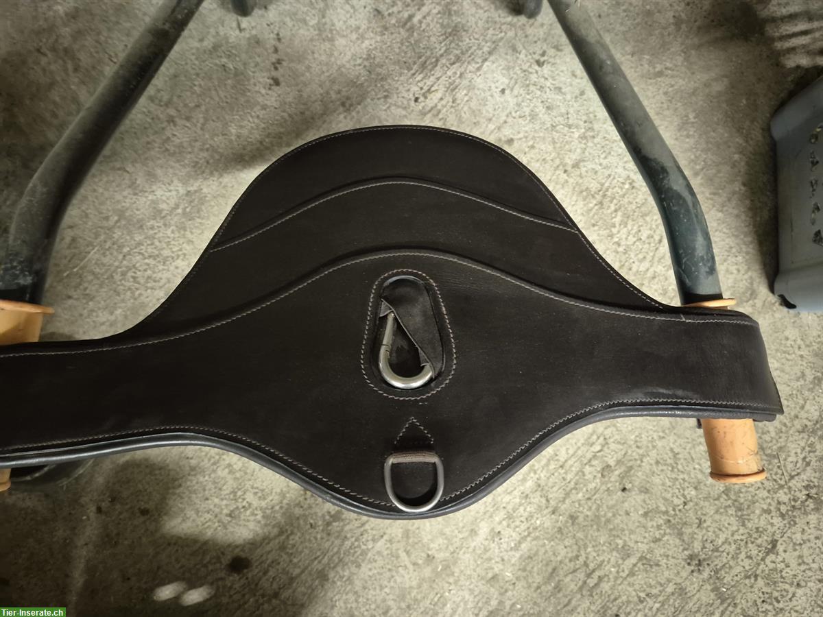 Pferde Stollengurt, braun, 120cm