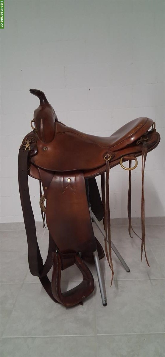 Bild 2: Sharon Saare Westernsattel, leicht, mit DD-Baum