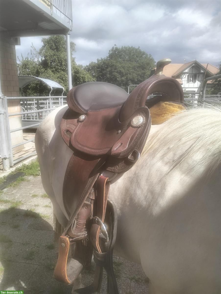 Bild 3: Deuber & Partner Westernsattel, short