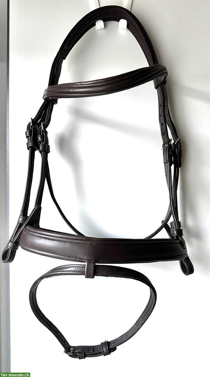 CLARIDGE HOUSE SYLKA Zaum mit Gurtzügel, neuwertig