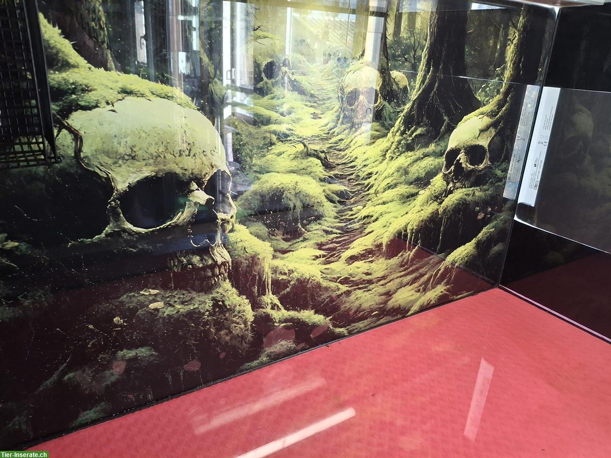 Bild 3: Grosses Glasterrarium mit Schiebetüren und Heizmatte