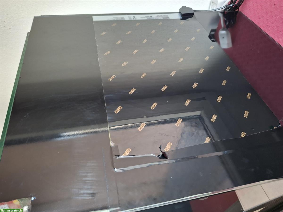 Bild 4: Grosses Glasterrarium mit Schiebetüren und Heizmatte