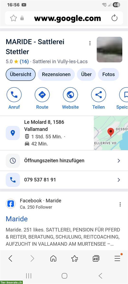Bild 5: Prestige Springsattel, neuwertig, für Kleinpferde