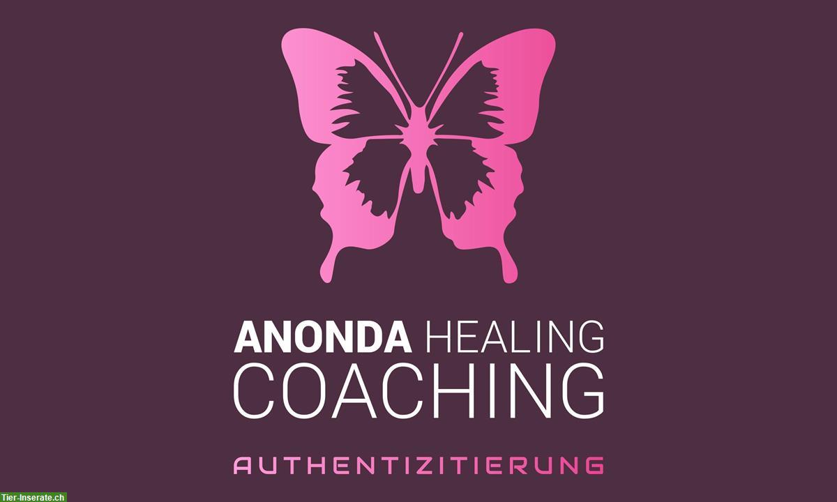 Bild 2: Traumatherapie bei Pferden, Analyse & Begleitung