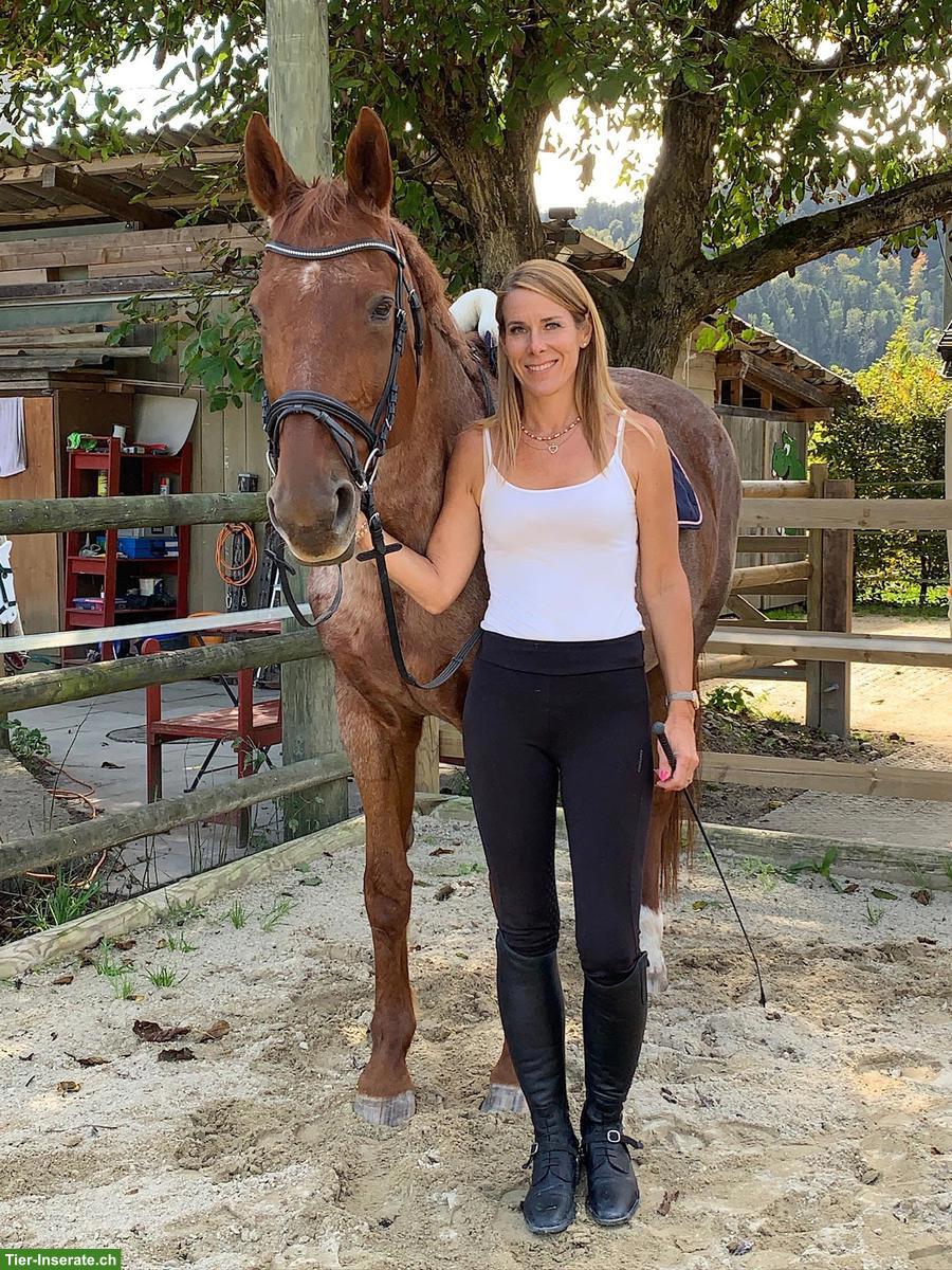 Bild 2: Praktikumsstelle mit Pferden in 6143 Ohmstal