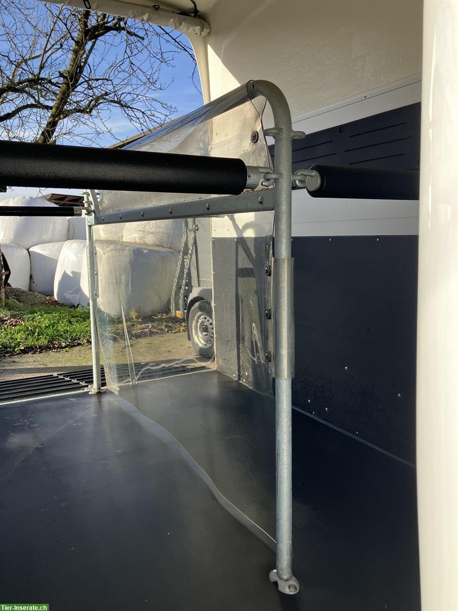 Bild 5: 2er Pferdeanhänger Böckmann Champion R, neuwertig