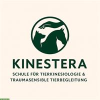 Berufsbegleitende Ausbildung Tierkinesiologie