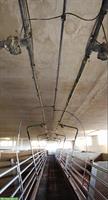 Schweinemast Fütterungsanlage inkl. Wasserversorgung