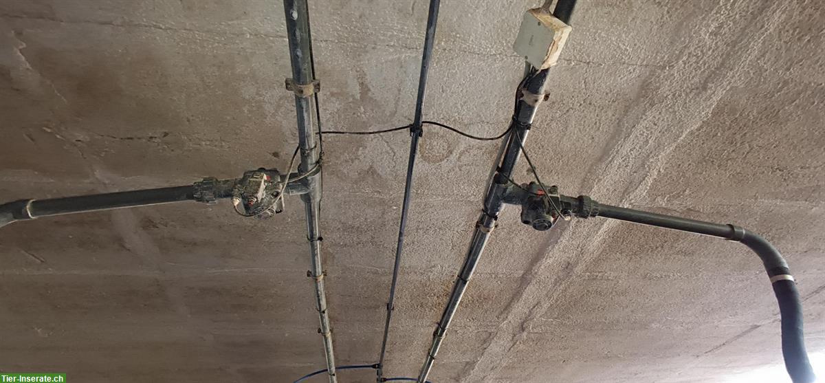 Bild 3: Schweinemast Fütterungsanlage inkl. Wasserversorgung