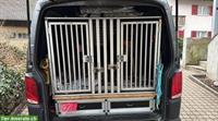 Hunde Doppelbox XXL für VW T6.1 Transporter