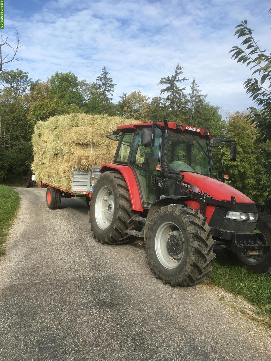 Bild 4: Pferdeheu in Kleinballen (feldgepresst) zu verkaufen