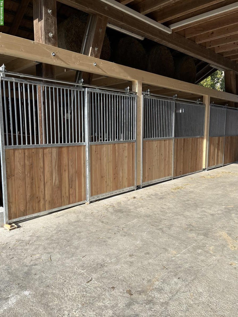 Pony- oder Pferdeboxe, Vollpension, Hausen am Albis