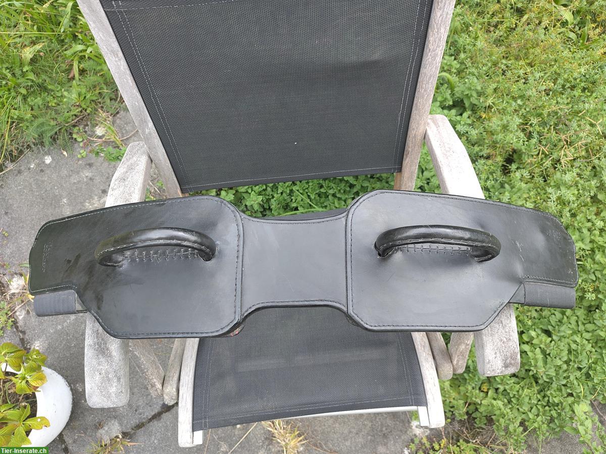 Reitgurt (Voltigiergurt) von Team Pony Concept