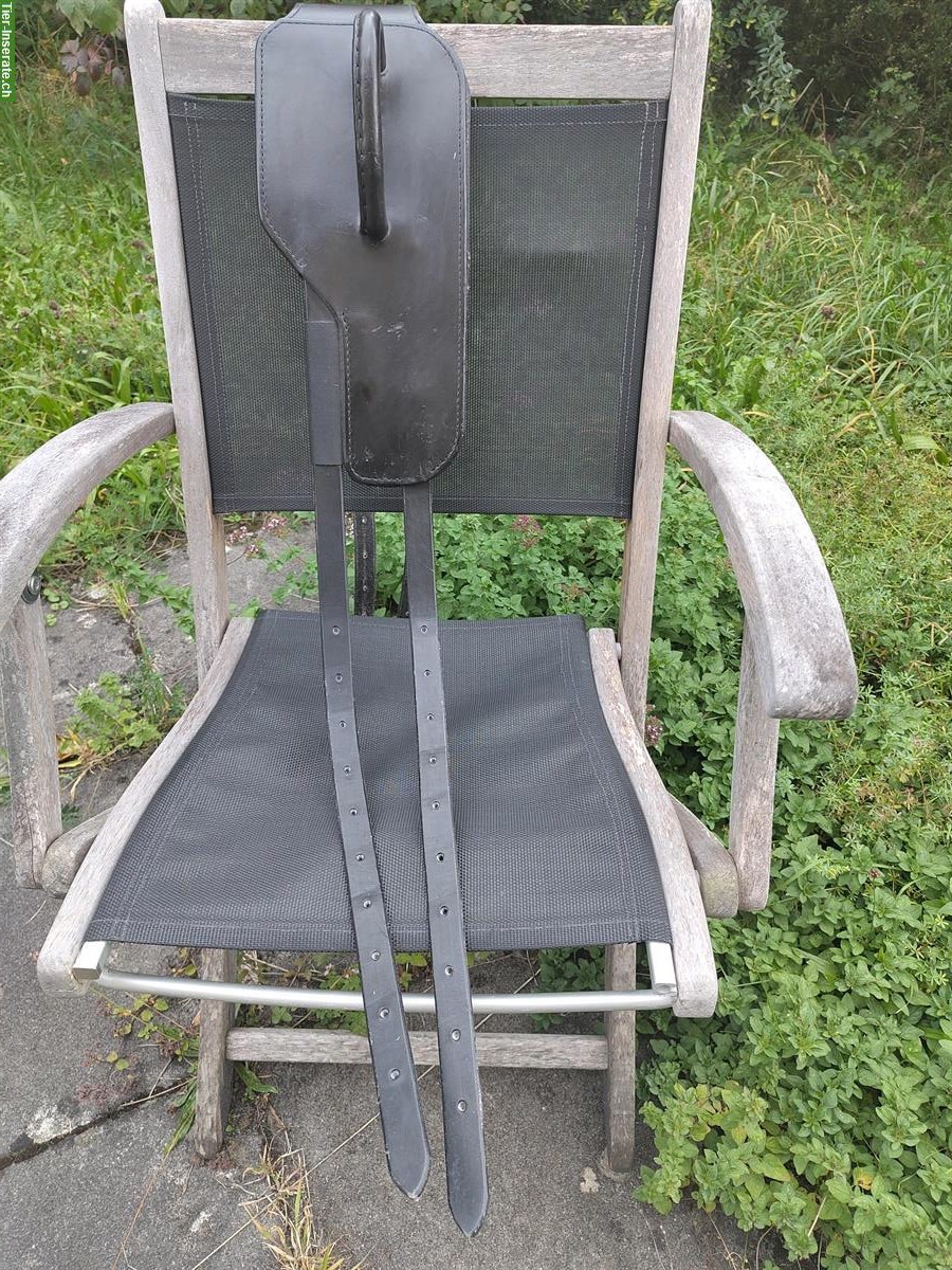 Bild 2: Reitgurt (Voltigiergurt) von Team Pony Concept