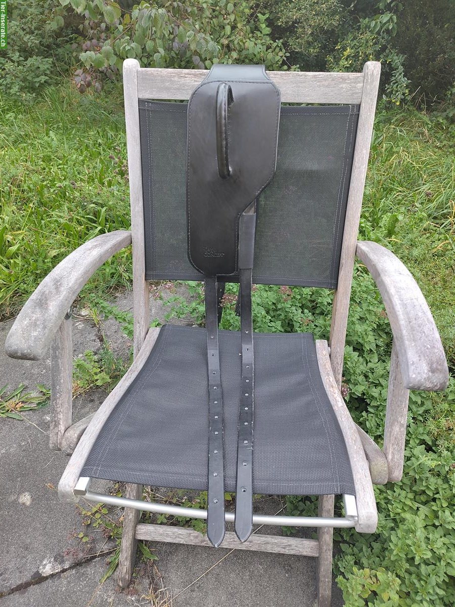 Bild 3: Reitgurt (Voltigiergurt) von Team Pony Concept