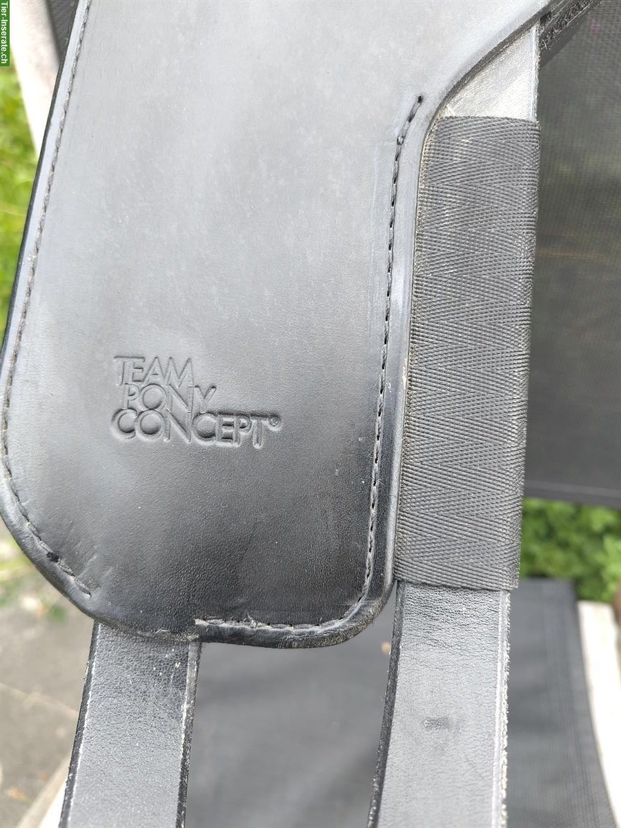 Bild 5: Reitgurt (Voltigiergurt) von Team Pony Concept