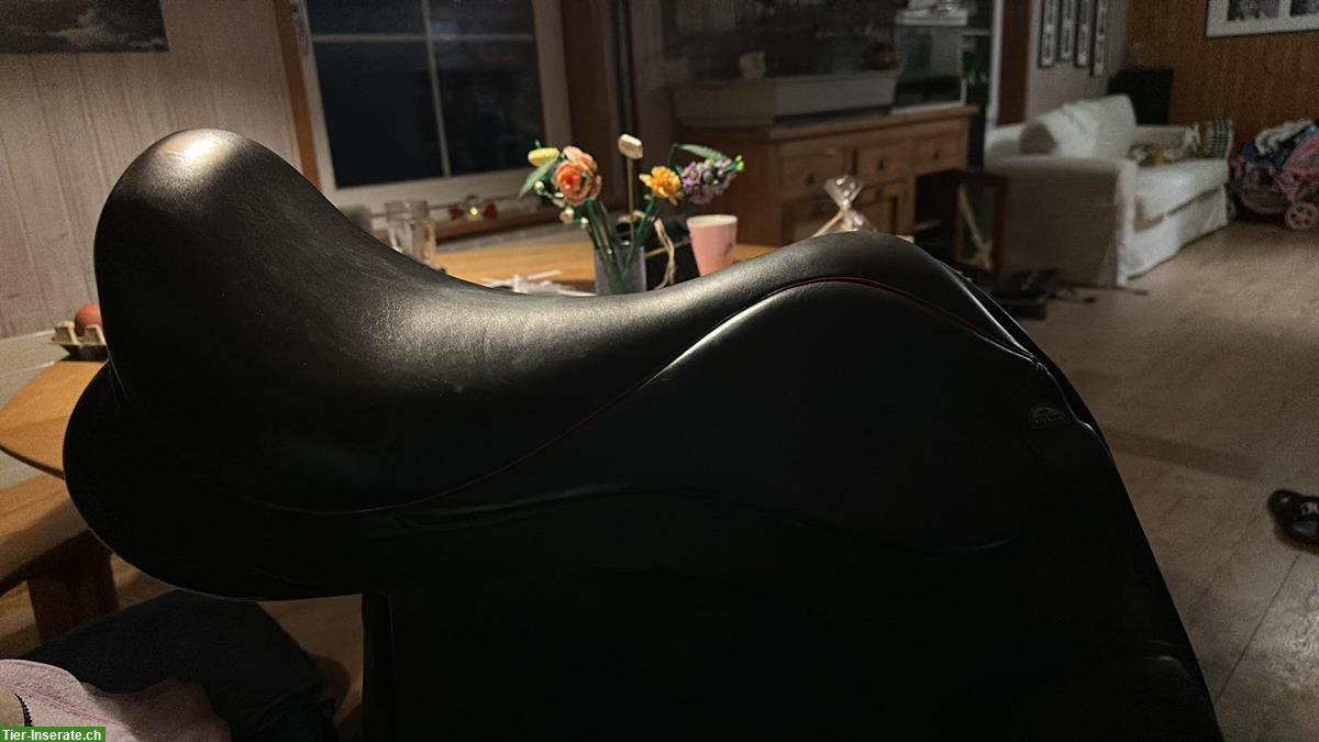 Bild 2: Hilbar 17" Sattel mit Schwung sowie Wollfüllung