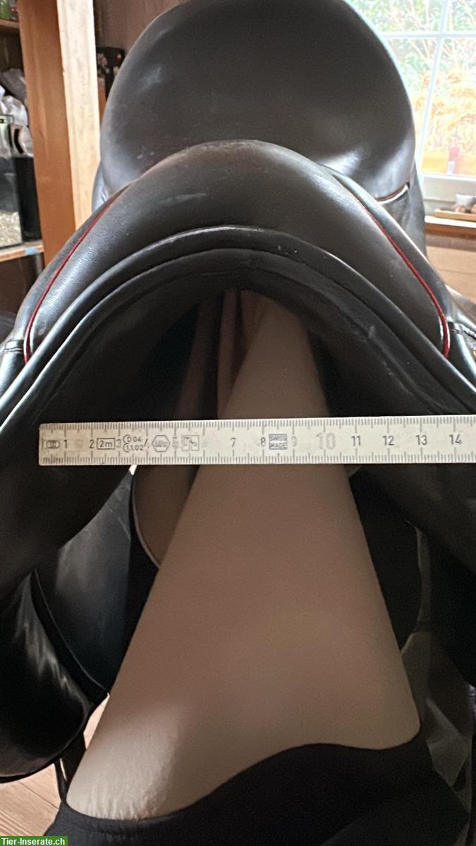 Bild 4: Hilbar 17" Sattel mit Schwung sowie Wollfüllung