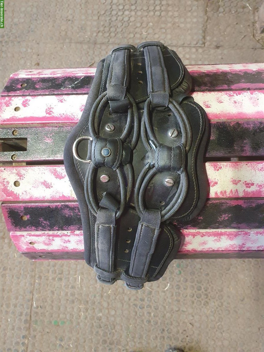 Stübben Equi-Soft und diverse Schabracken